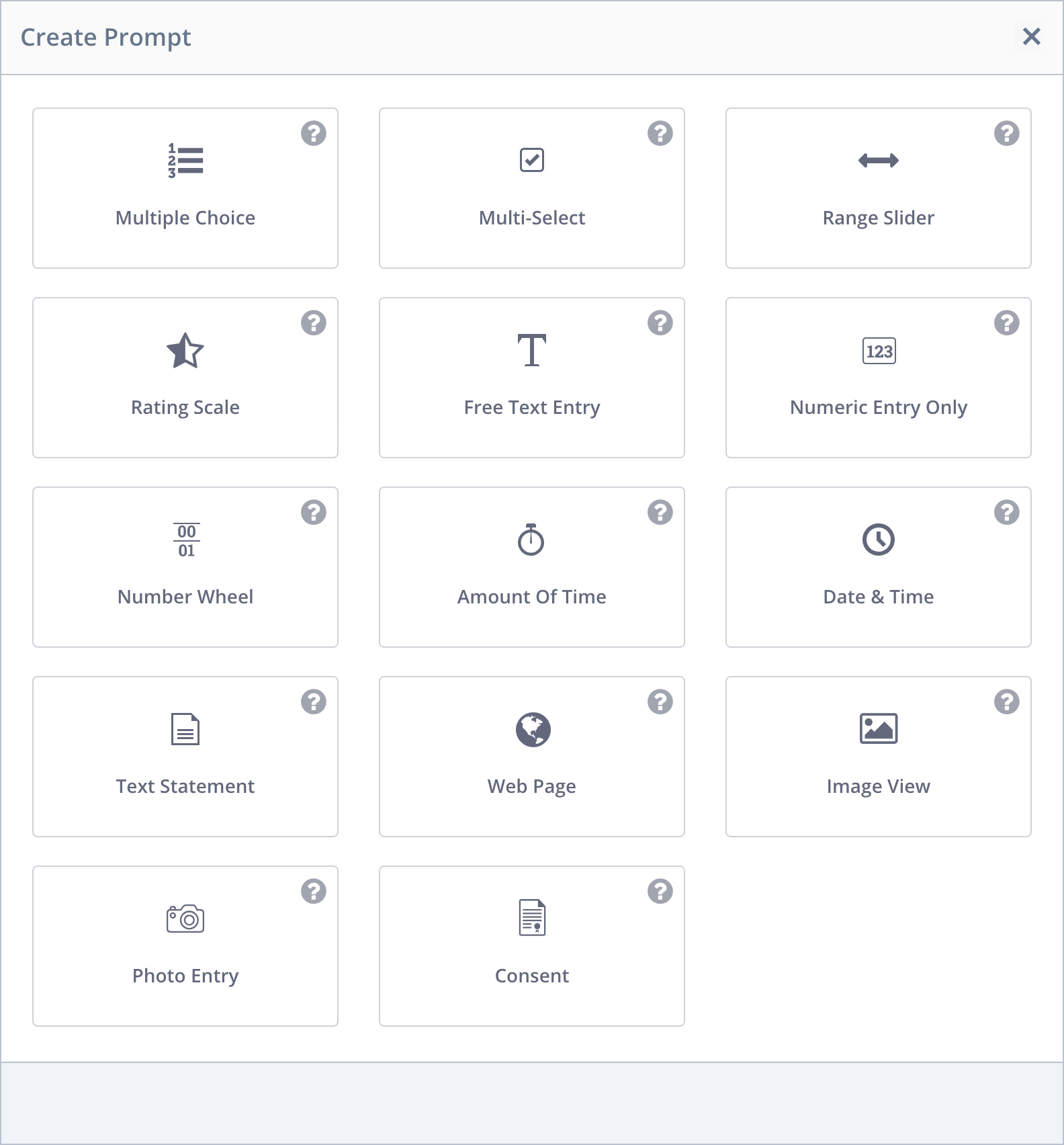 Screenshot of the LifeData prompt type options